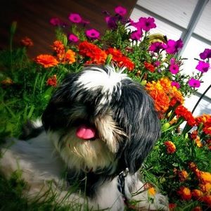 Meet your Posher, Alexandra